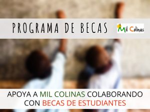 Programa de Becas