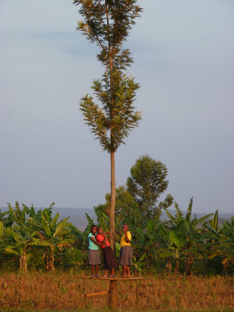 Memoria actividades 2021