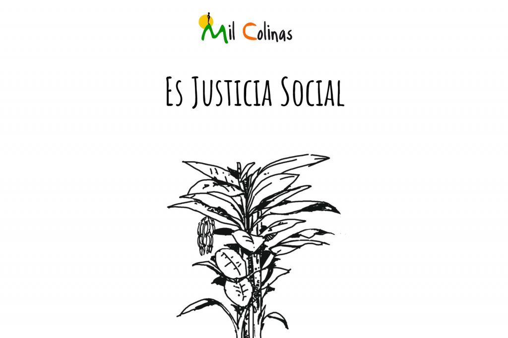 Justicia Social