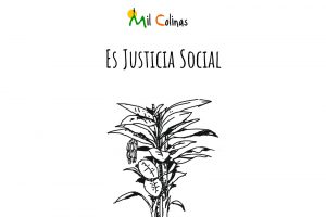 Justicia Social
